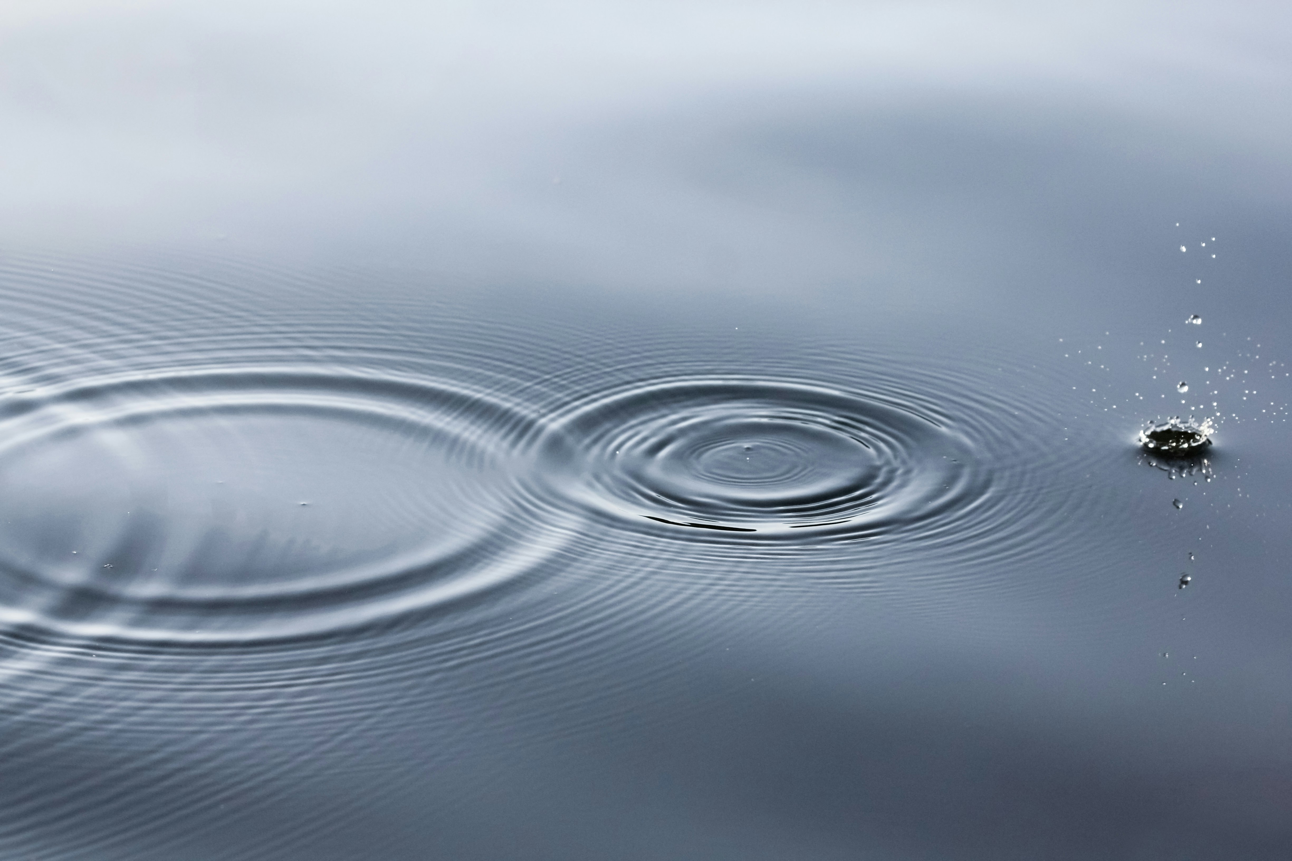 Different kinds of Ripple